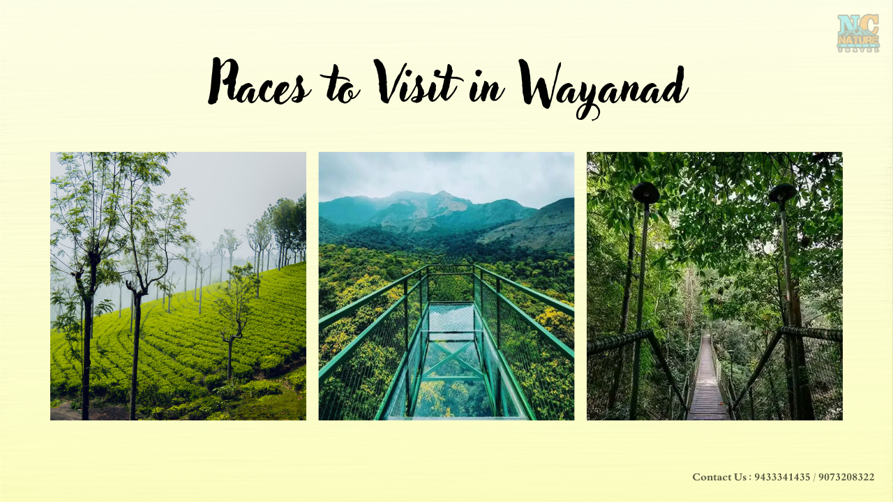 best places to visit Wayanad, places to visit wayanad, Kerala tourism Wayanad tourist places, 